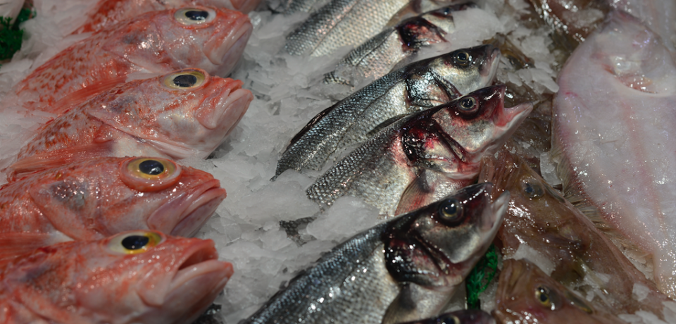 Carnes y pescados frescos en Restaurante Los Infantes de Simancas