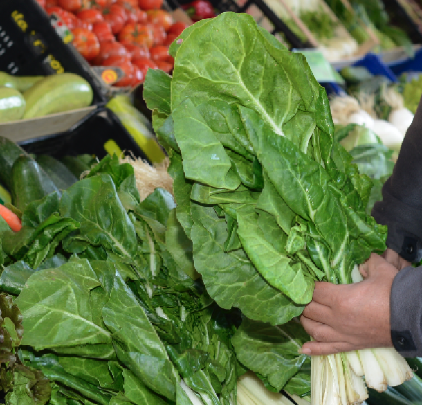 Ingredientes frescos de la huerta ecológica de Simancas